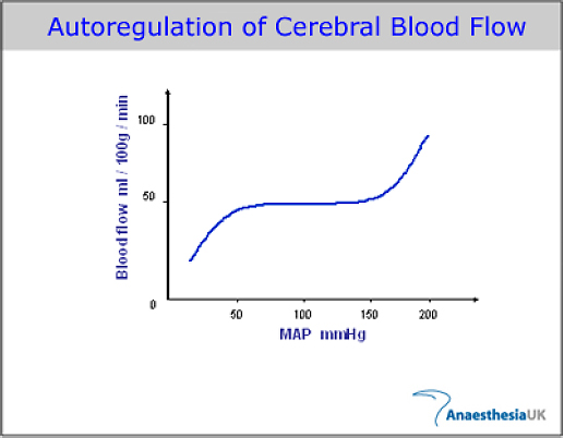 Graphical presentation of cerebral blood flow